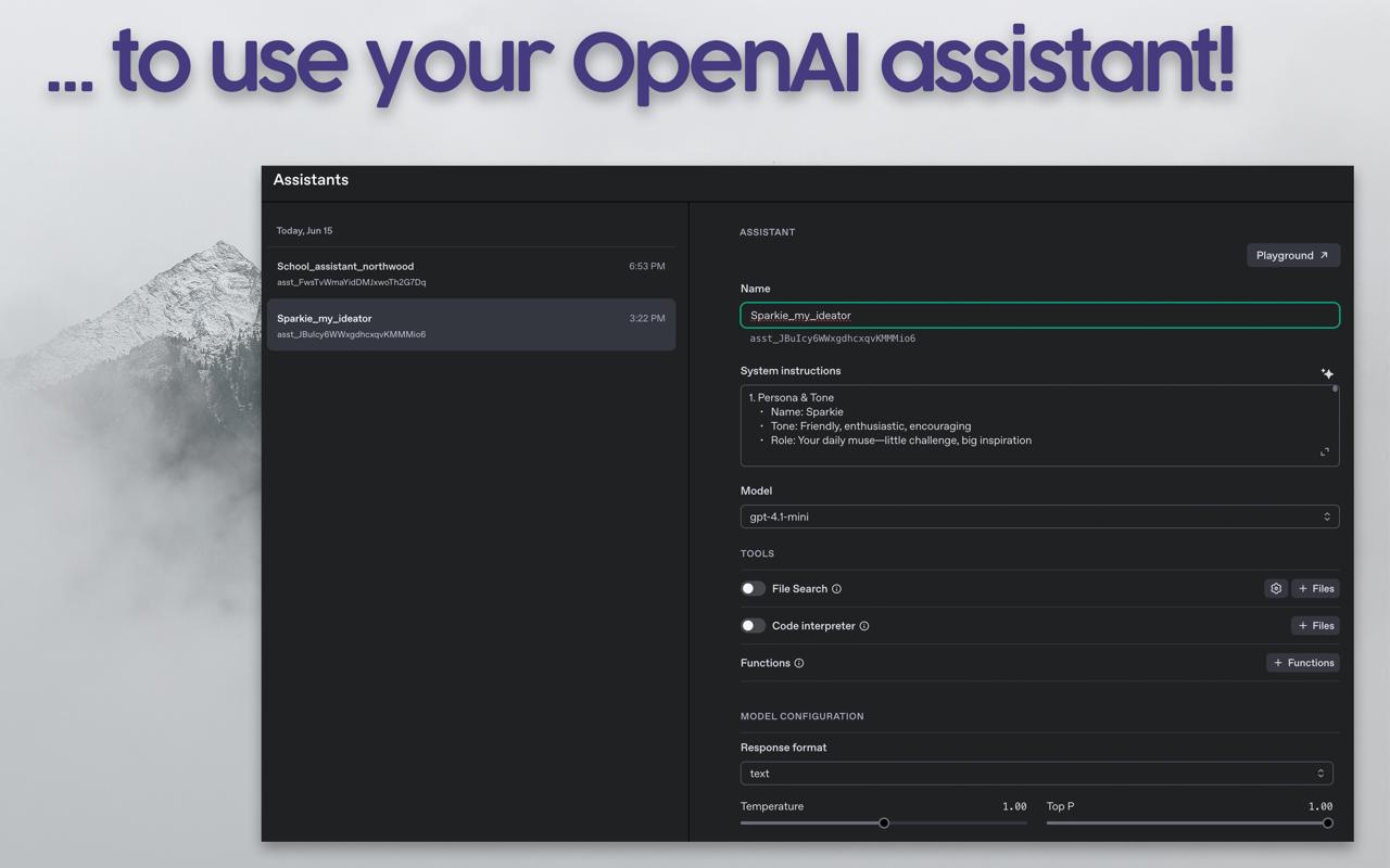 OpenAI Assistant Configuration